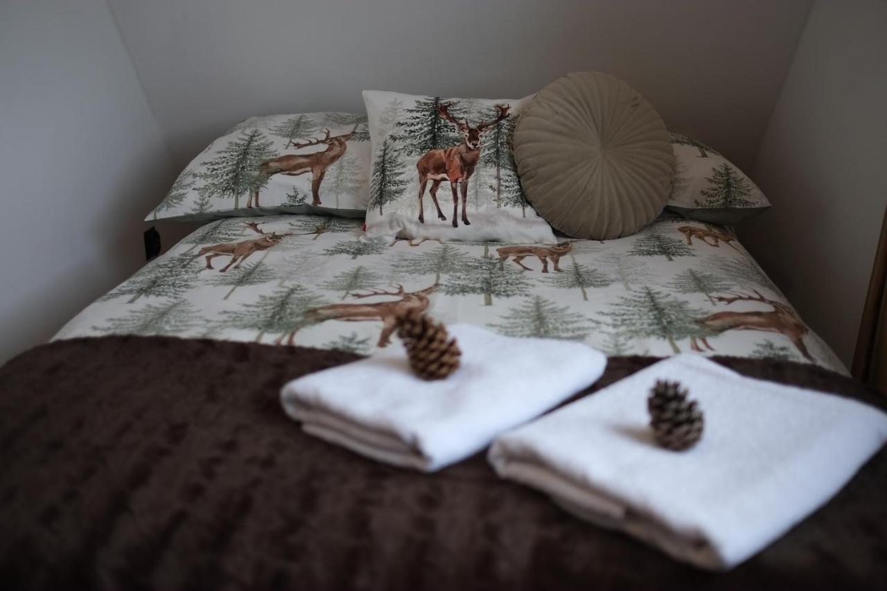 Apartament Ryllowka Z Widokiem Na Gory Zakopane Ngoại thất bức ảnh