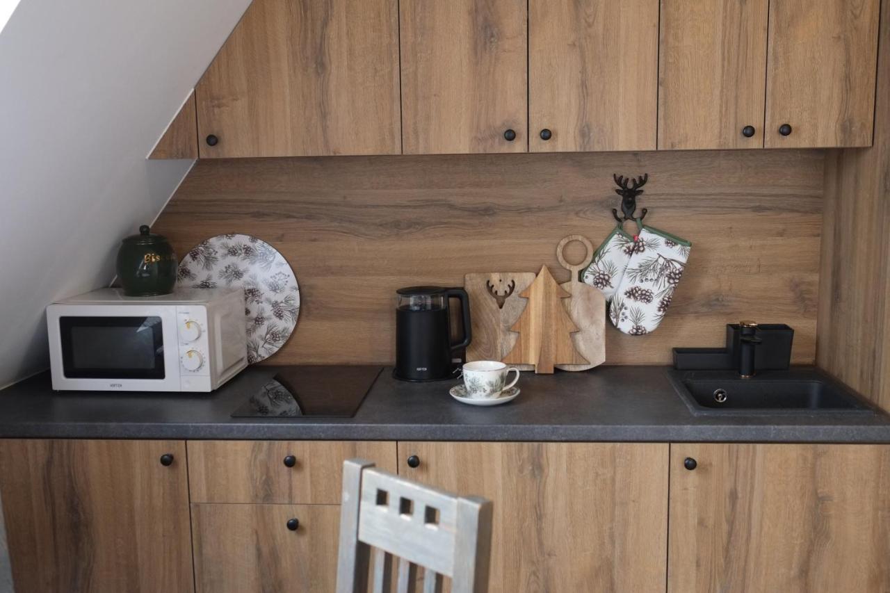 Apartament Ryllowka Z Widokiem Na Gory Zakopane Ngoại thất bức ảnh